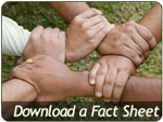Improve your employees’ work/life balance. Download our fact sheet on LotsaHelp@Work.